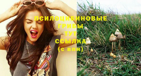 спиды Алексин